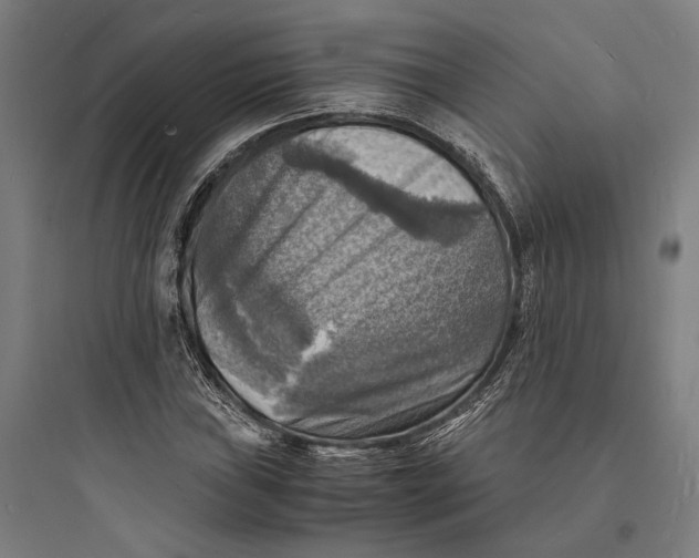 X0000093731019200711060956