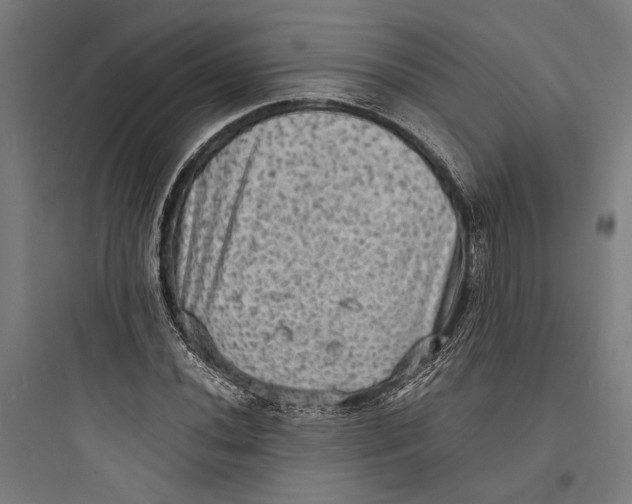 X0000093731020200711060956