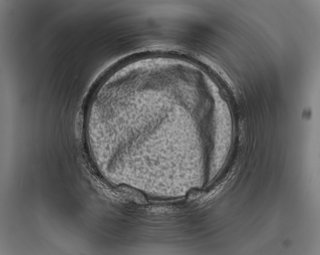 X0000093731021200711060956