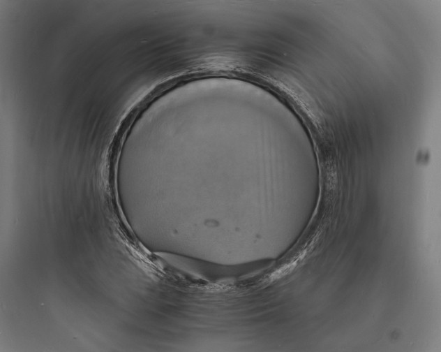 X0000093731023200711060956