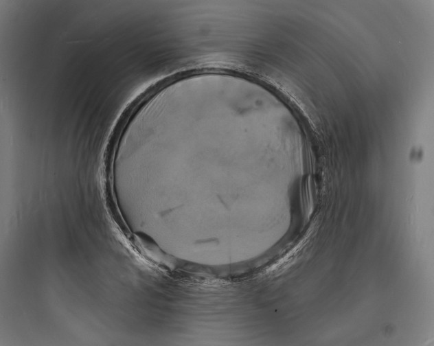 X0000093731024200711060956