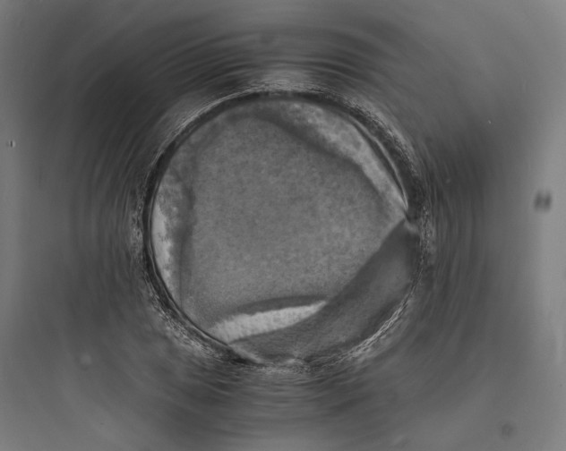 X0000093731025200711060956