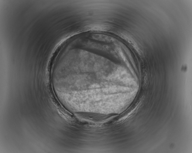 X0000093731027200711060956