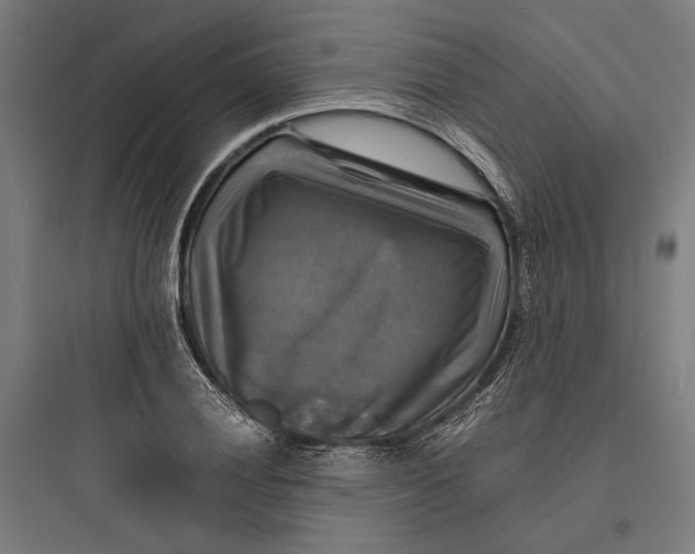 X0000093731028200711060956