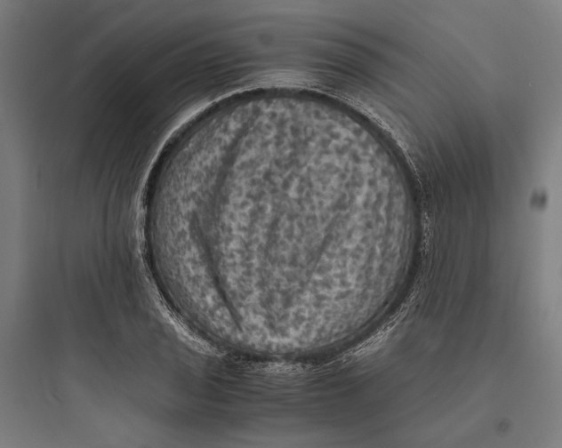 X0000093731029200711060956