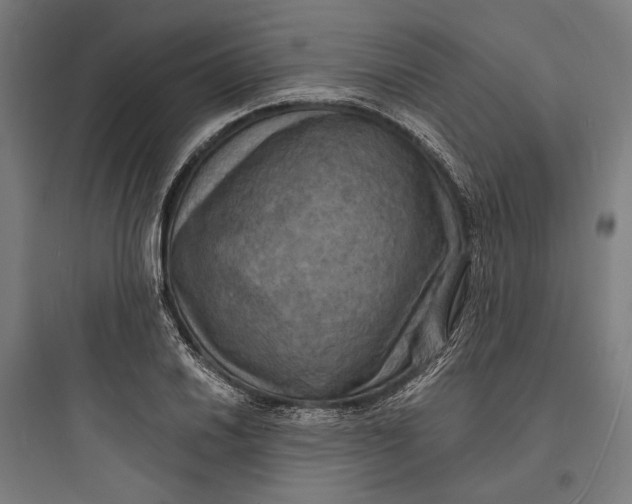 X0000093731030200711060956