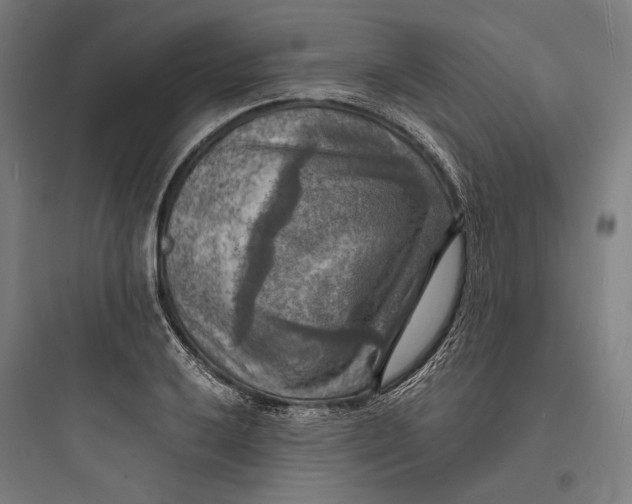 X0000093731032200711060956