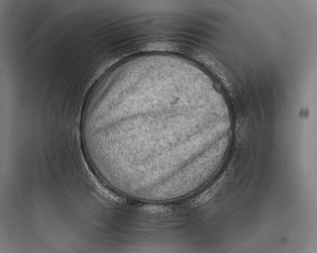 X0000093731033200711060956