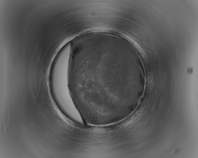 X0000093731034200711060956