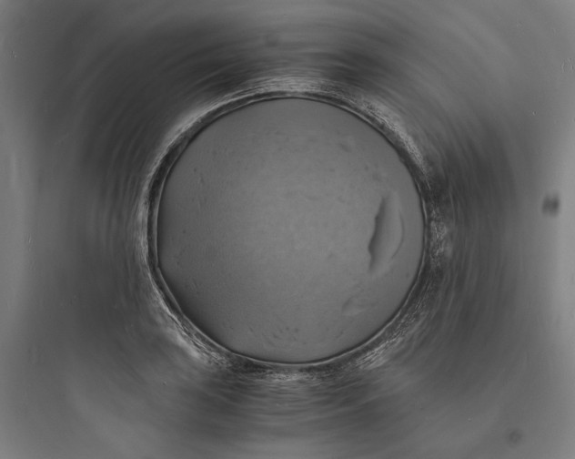 X0000093731035200711060956