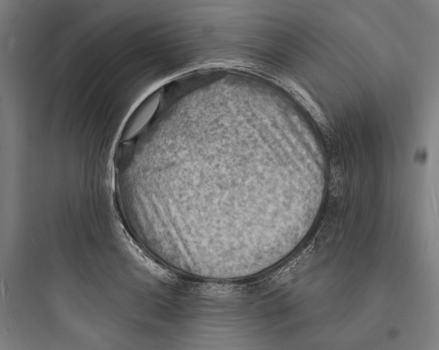 X0000093731036200711060956