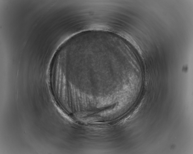 X0000093731037200711060956