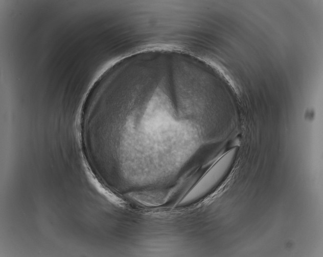 X0000093731038200711060956