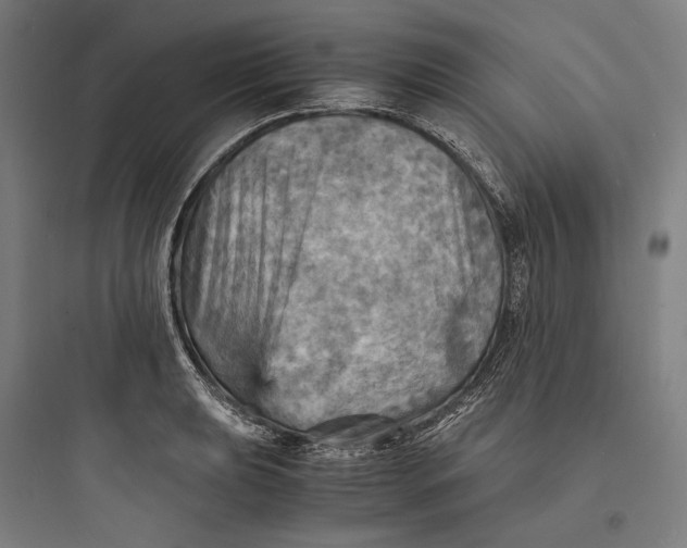 X0000093731039200711060956