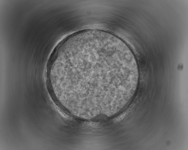 X0000093731040200711060956