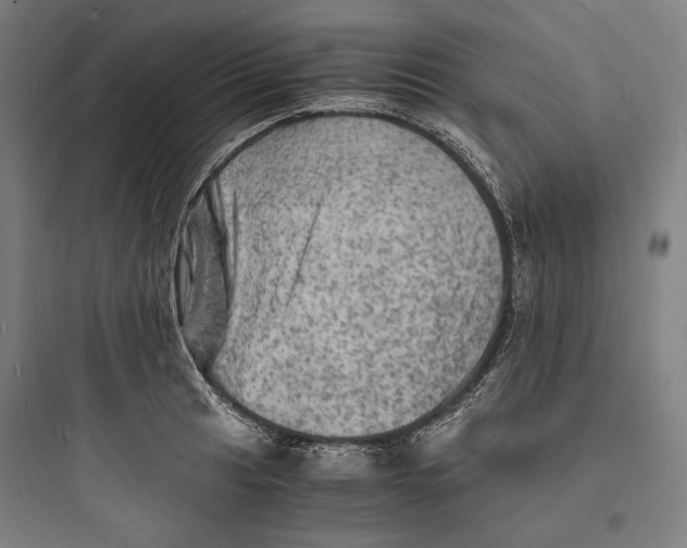 X0000093731041200711060956