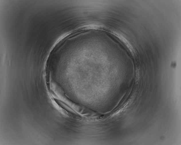 X0000093731042200711060956