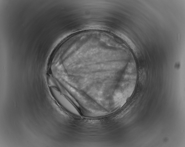 X0000093731043200711060956