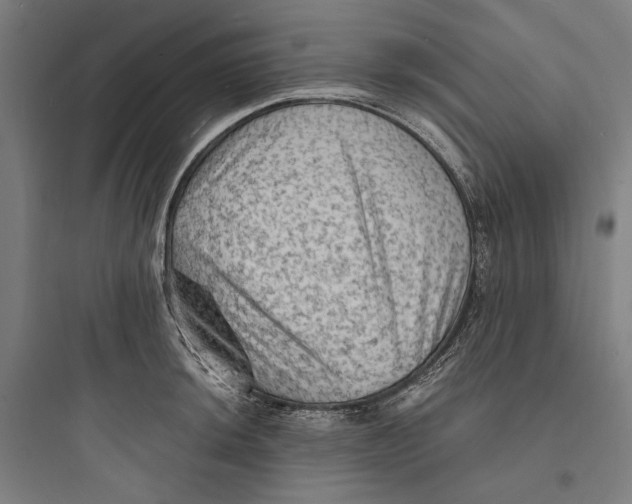 X0000093731044200711060956