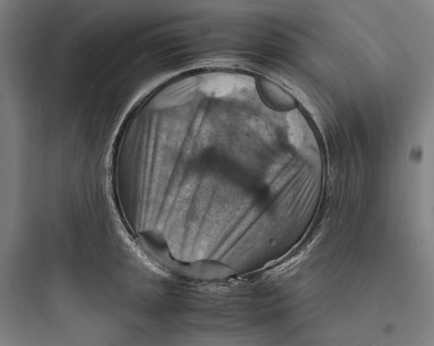 X0000093731045200711060956