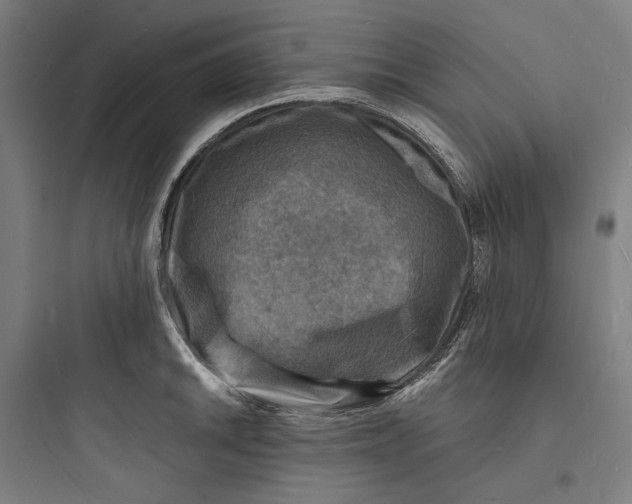 X0000093731046200711060956