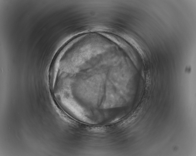 X0000093731047200711060956