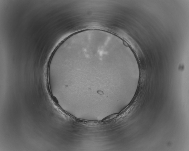 X0000093731048200711060956