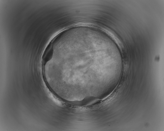 X0000093731050200711060956