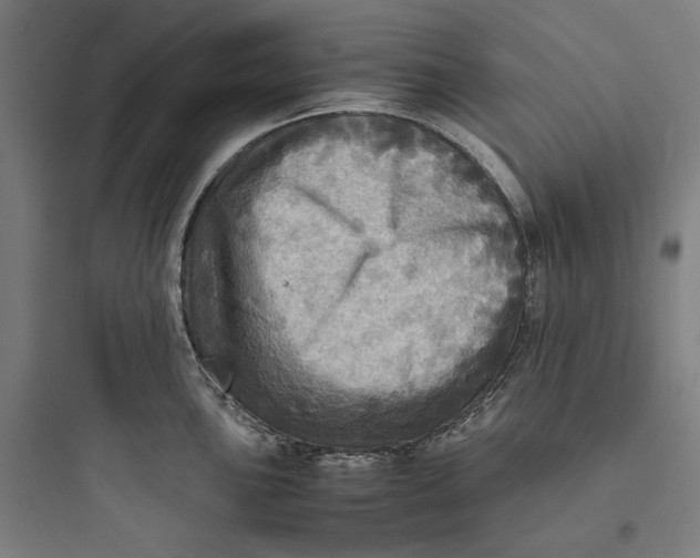 X0000093731051200711060956