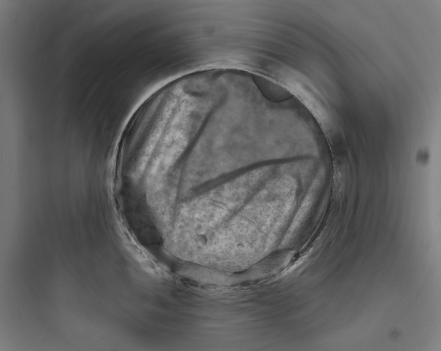 X0000093731052200711060956