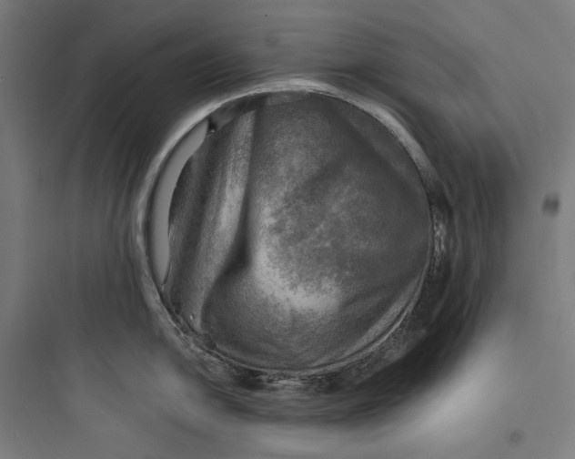 X0000093731054200711060956