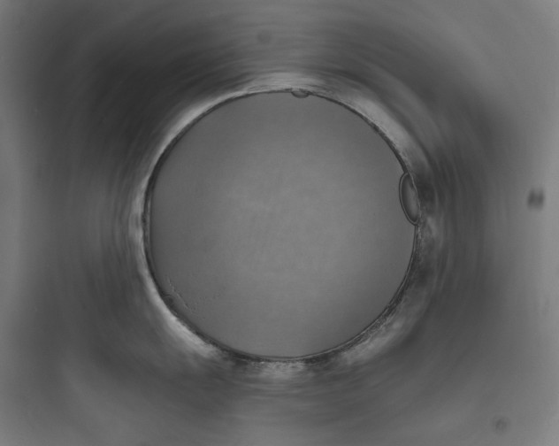 X0000093731055200711060956