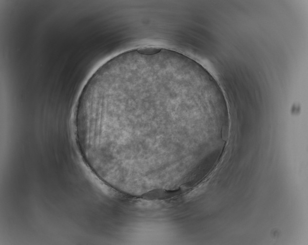 X0000093731056200711060956