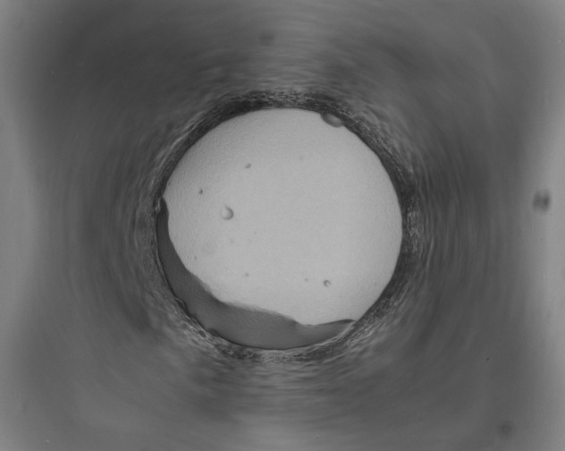 X0000093731057200711060956