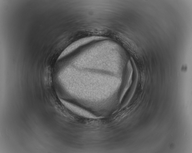 X0000093731058200711060956