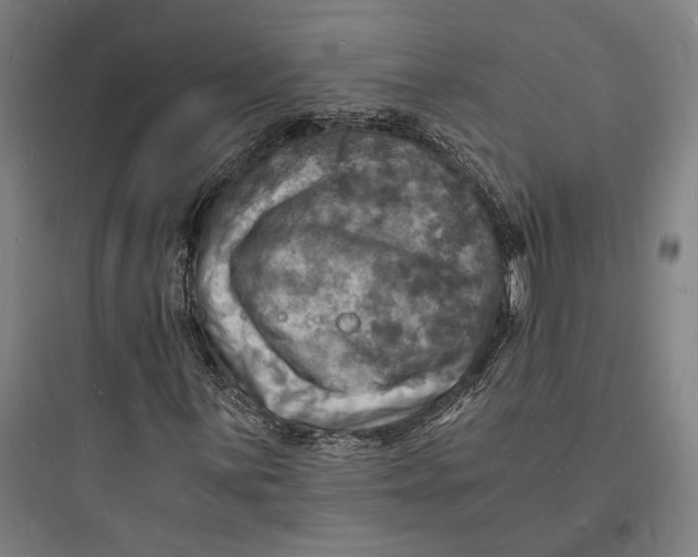 X0000093731059200711060956