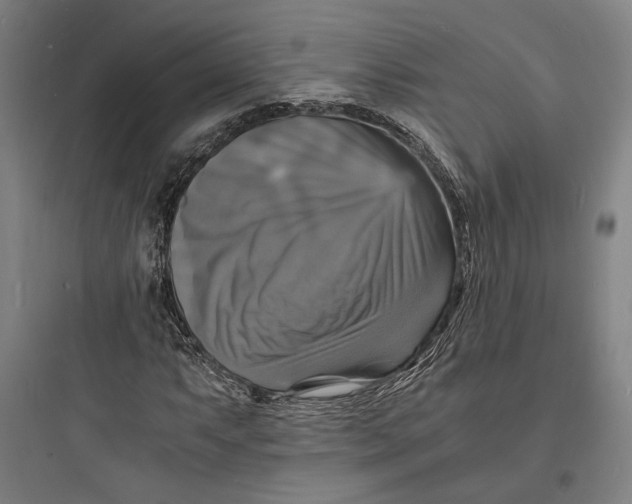 X0000093731063200711060956