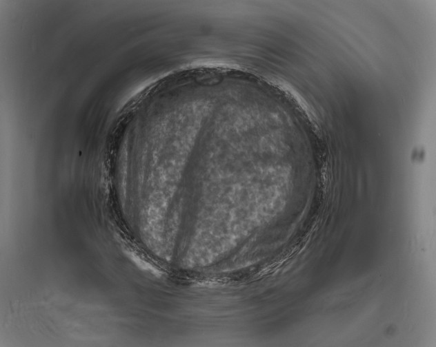 X0000093731064200711060956