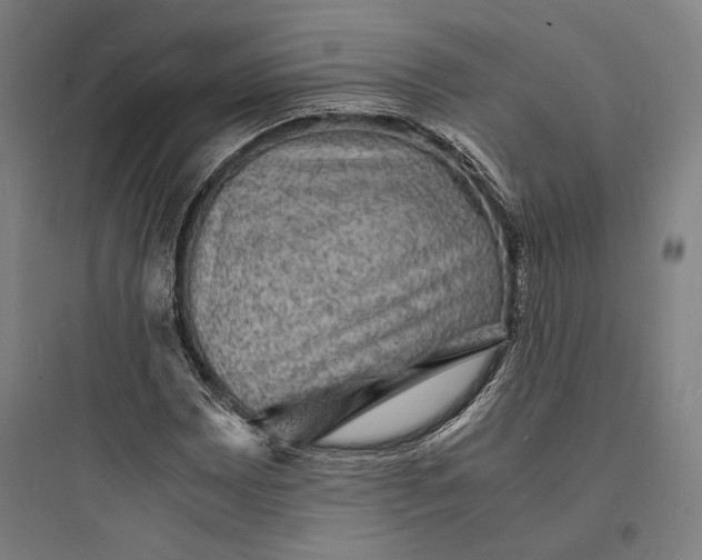 X0000093731065200711060956