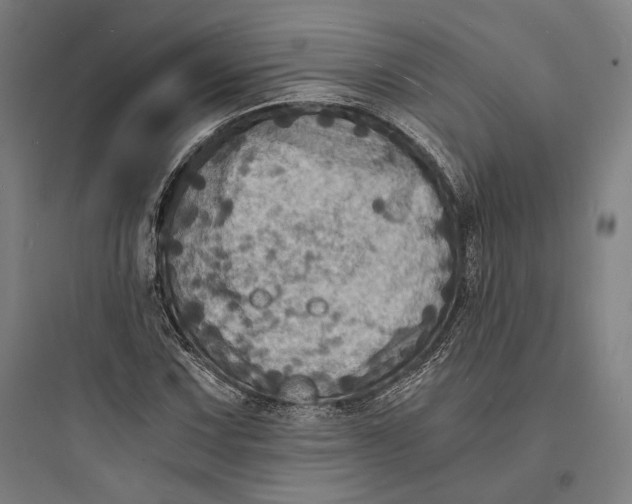 X0000093731067200711060955