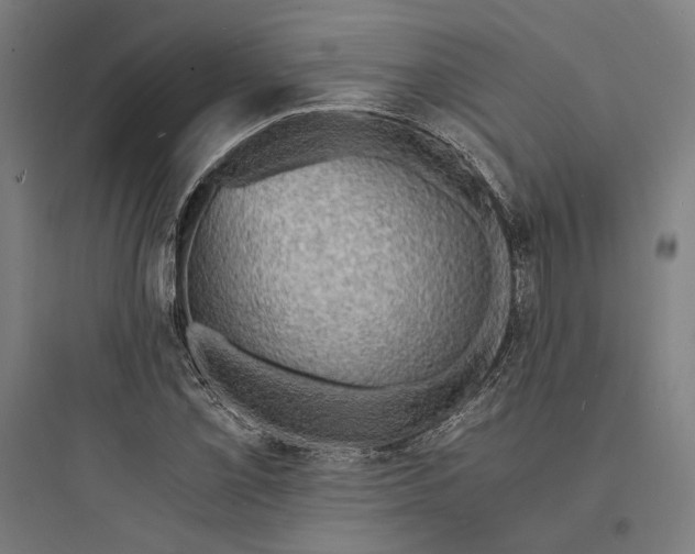 X0000093731069200711060955