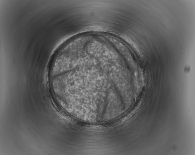 X0000093731070200711060955