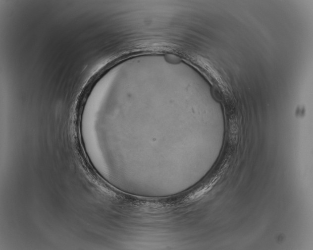 X0000093731071200711060955