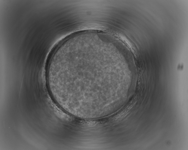 X0000093731072200711060955