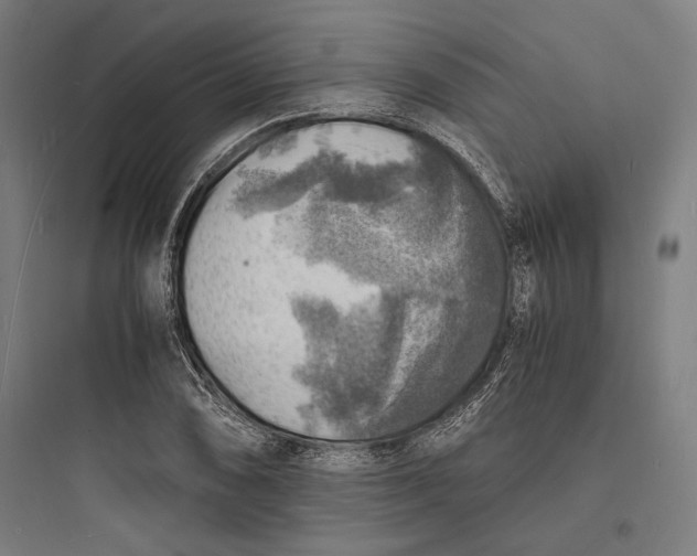 X0000093731074200711060955