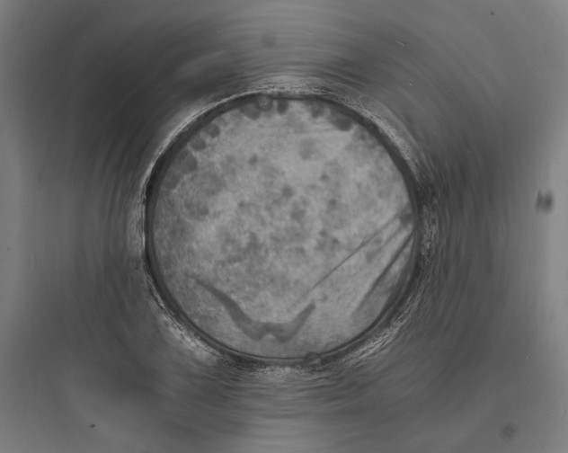 X0000093731075200711060955