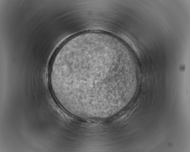 X0000093731076200711060955