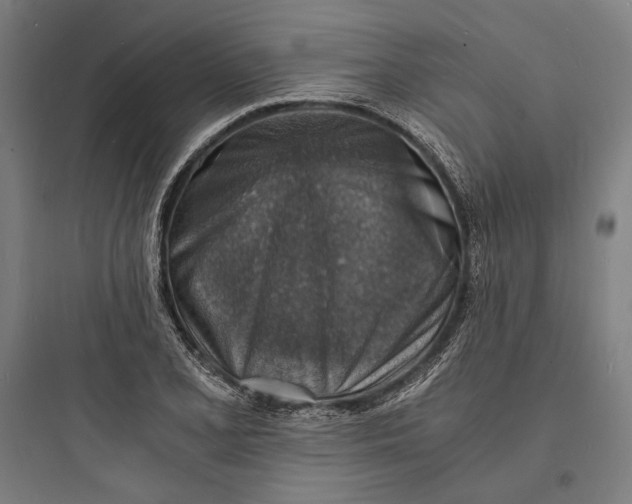 X0000093731077200711060955