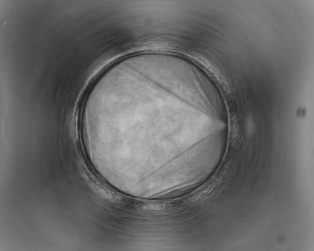 X0000093731078200711060955