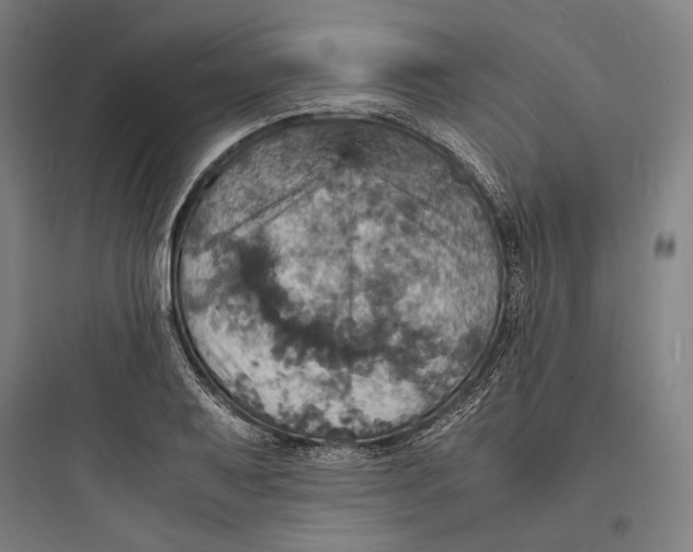 X0000093731079200711060955